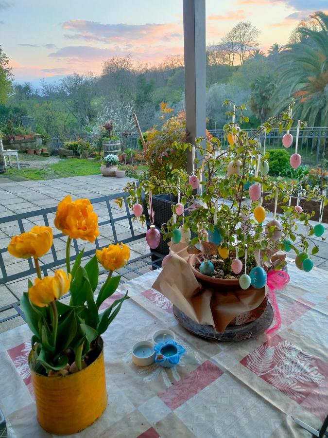 Farm stay Bio Agriturismo Il Cavone *